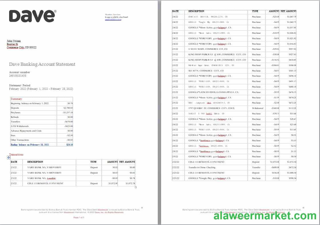 USA Dave bank account statement, Word and PDF template, 5 pages
